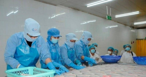 Doanh nghiệp ngành thủy sản còn đối mặt với rủi ro kể từ năm 2026