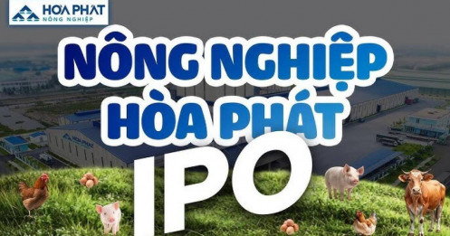 HPA – Có nên mua IPO tại thời điểm này?
