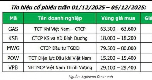 Chứng khoán vào sóng lớn, CTCK chỉ ra nhóm cổ phiếu có thể tăng giá mạnh nhất năm 2025