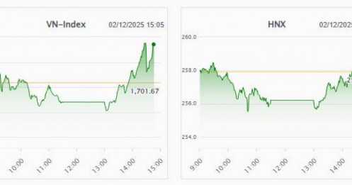 Bài viết HAY của chuyên gia