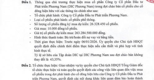 Sau làn sóng thoái vốn ồ ạt, DIC Corp bất ngờ muốn rót thêm 260 tỷ đồng vào một công ty BĐS