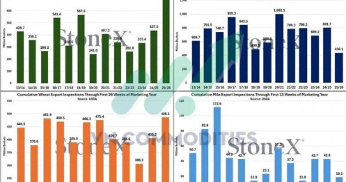 Đậu tương rơi sâu, ngô dẫn dắt dòng tiền