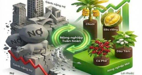 Cổ phiếu HAG giao dịch ra sau thông tin IPO Công ty cổ phân Đầu tư Quốc Tế Hoàng Anh Gia Lai?