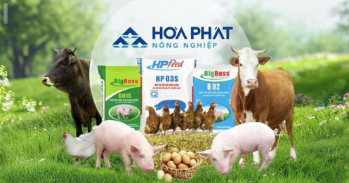 Vì sao công ty nông nghiệp của 'vua thép' chỉ IPO 30 triệu cổ phiếu?