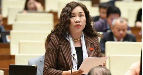 Cận kề “dân già trước khi giàu”, ĐBQH kêu gọi tư nhân đầu tư viện dưỡng lão