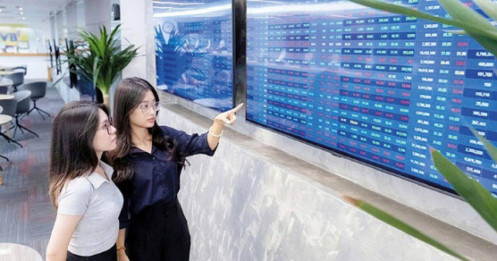 Bài viết HAY của chuyên gia