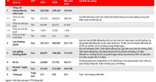 Tại sao lợi nhuận gộp của Nông nghiệp Hòa Phát (HPA) dự báo giảm? VDSC giải thích