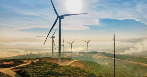 VinEnergo của tỷ phú Phạm Nhật Vượng trúng 2 ‘siêu dự án’ điện gió tỷ đô tại Hà Tĩnh