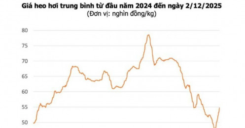 Tin vui từ chăn nuôi: HPA, Dabaco, BAF sẵn sàng hưởng lợi trước Tết 2026