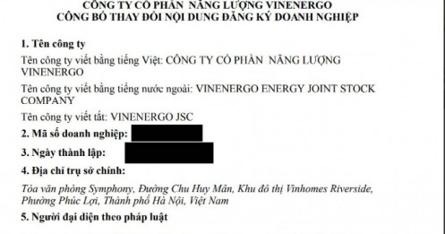 Bất ngờ nhân sự: VinEnergo mời “cây đa” từ VinaCapital về ngồi ghế nóng