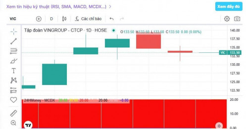 Ai đang gom cổ phiếu VIC ở vùng đỉnh?