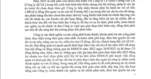 QCG muốn bán công ty con để trả nợ, bà Trương Mỹ Lan sắp nhận thêm nghìn tỷ đồng