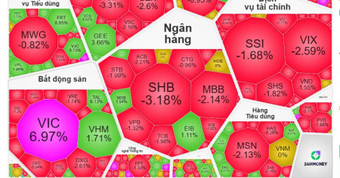VN-Index tăng 8 phiên liền nhưng danh mục NĐT vẫn "đỏ lửa": Vì sao thị trường "xanh mặt – tài khoản đỏ rực"?