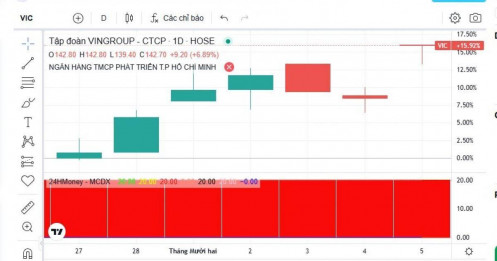 Ai đang gom mạnh cổ phiếu VIC?