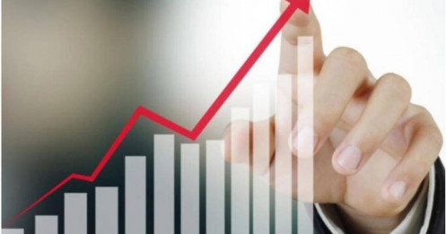 Thị trường chỉnh sâu, những cổ phiếu này vẫn phi nước đại