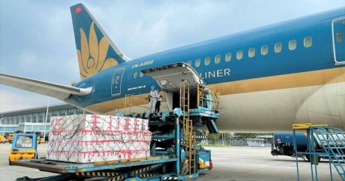 Vietnam Airlines sắp có đội bay chuyên chở hàng hóa