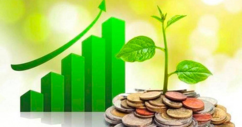 Lịch chốt quyền cổ tức 8/12– 12/12: "Vua bút bi" Thiên Long, SSI chuẩn bị lăn chốt