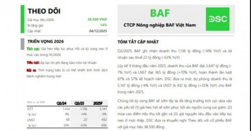 Giá heo vào sóng tăng vì dịch bệnh và bão lũ, DSC gợi ý cổ phiếu giúp NĐT ‘có tiền ăn Tết’
