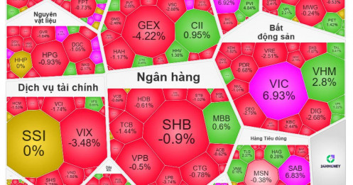 VN-Index nối dài chuỗi 9 phiên tăng, nhưng danh mục NĐT vẫn nằm đáy