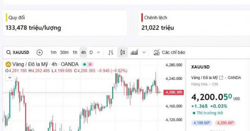 Cập nhật giá vàng ngày 08/12/2025