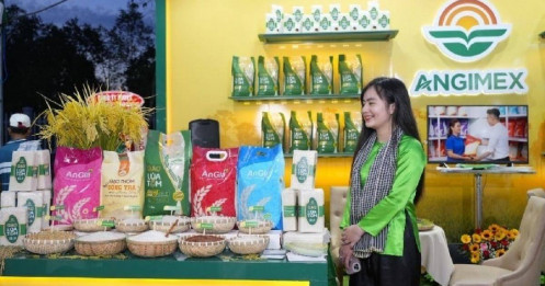 AGM định hướng tái cấu trúc