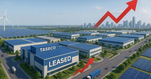 Vì sao TAL trở thành “ngôi sao” tháng 12, tăng gần 15% chỉ trong một tuần?