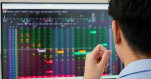 "Mù" dòng tiền, mọi khoản đầu tư đều thành bẫy