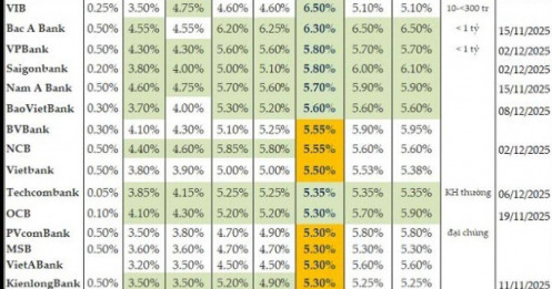 Tháng cuối năm, lãi suất huy động tăng trên diện rộng