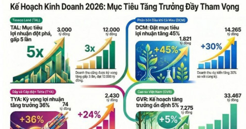 Loạt DN công bố KQKD 2025, đua nhau đặt mục tiêu tăng trưởng khủng cho 2026