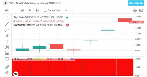 Bí mật phía sau đà tăng “không ngừng” của cổ phiếu VIC