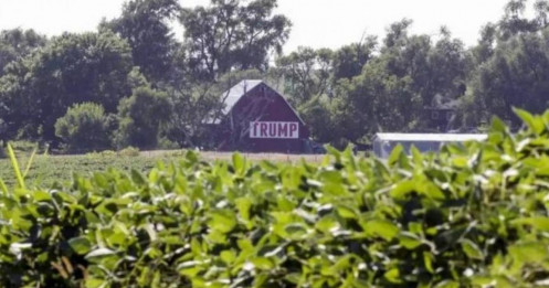 Chính Quyền Trump Bơm 12 Tỷ USD Cứu Trợ Nông Nghiệp Giữa Hệ Lụy Cuộc Chiến Thương Mại