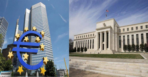 FED và ECB đang cắt giảm lãi suất với tốc độ kỷ lục!