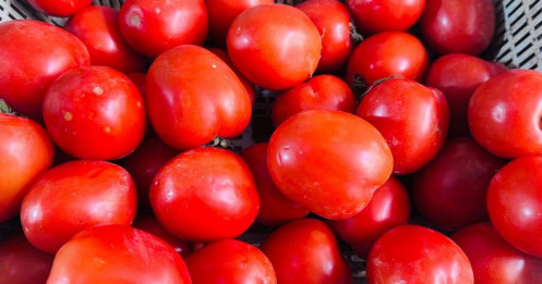 Cà chua tăng giá kỷ lục tại chợ Hà Nội: 85.000 đồng/kg vẫn bán sạch, bà nội trợ 'choáng váng'