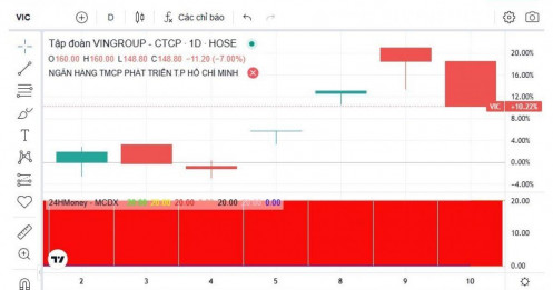 Lệnh giao dịch hơn 1.200 tỷ đồng xuất hiện tại VIC