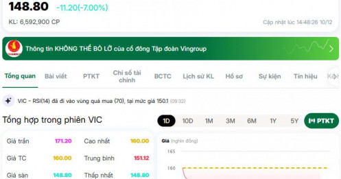 Một cú rớt của VIC – cả thị trường “đổ máu”