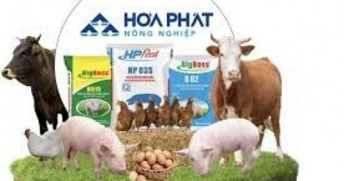 Dòng tiền "cá mập" đổ vào đợt IPO cổ phiếu HPA
