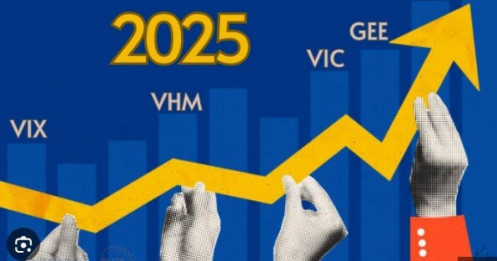 “Họ Vin” và “họ Gelex” thống trị cuộc đua hiệu suất nhóm vốn hóa lớn