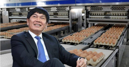 Vietcap đăng ký mua 7 triệu cổ phiếu Nông nghiệp Hòa Phát