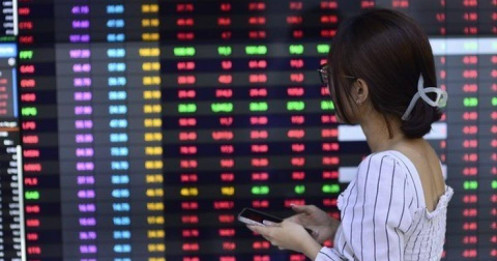 Cú “chơi lớn” ngay dịp đầu năm: Doanh nghiệp chi cổ tức tiền mặt tỷ lệ khủng 51%