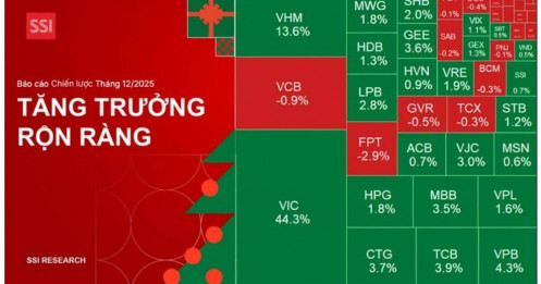 Chứng khoán Việt Nam không có bong bóng, xác suất tăng điểm tháng 12 tới 75%