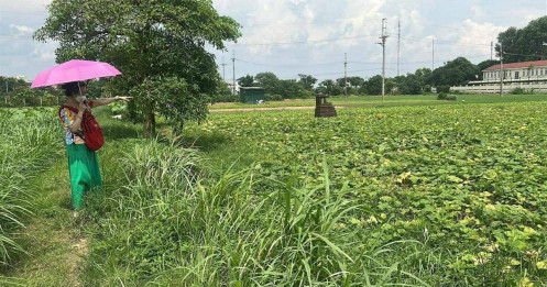 "Cuộc chơi" đất nông nghiệp: Kỳ vọng cao, rủi ro cận kề