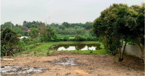 Tin vui cho hộ gia đình: Từ 2026, chuyển đất vườn sang đất ở giảm chi phí mạnh