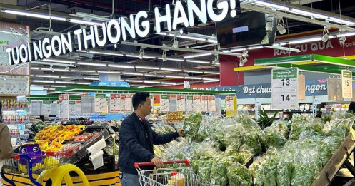 Bí ẩn MSN: Vì sao doanh nghiệp tốt nhưng cổ phiếu “dậm chân tại chỗ 5 năm”?