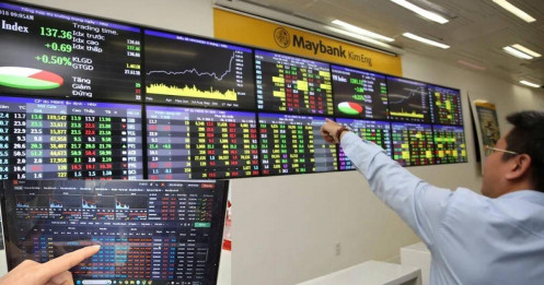 VN-Index giảm sốc, cổ phiếu rơi tự do: Đây đã là đáy hay chỉ mới bắt đầu?