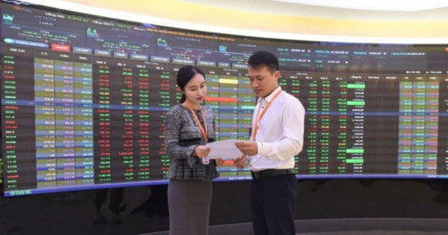 Từ nhịp hồi phục sang pha đánh giá lại