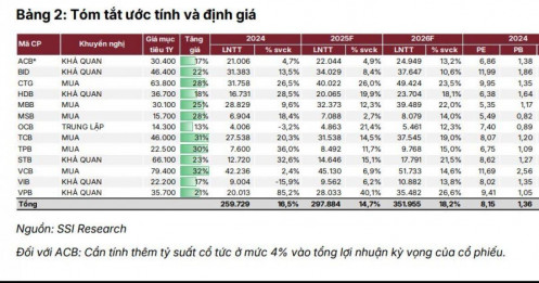 Ngân hàng nào được SSI “chọn mặt gửi vàng” cho năm 2026?