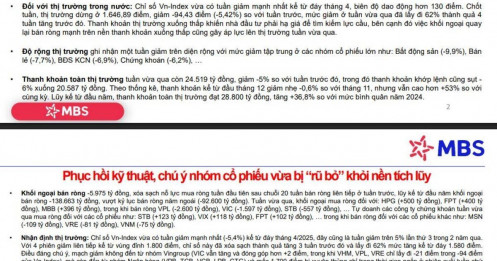 VnIndex đã về vùng 1.370 điểm nếu loại nhóm Vin, loạt nhóm cổ phiếu được dự báo bật tăng sau nhịp "rũ bỏ"
