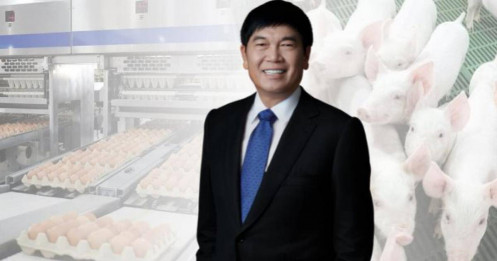 Cổ phiếu Nông nghiệp Hòa Phát IPO: Lợi nhuận tiềm năng 20% – có nên nhảy vào?