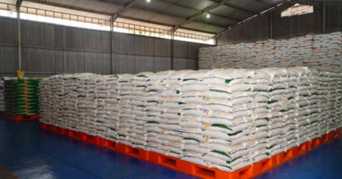 Nền kinh tế số 1 Đông Nam Á nói ‘đủ rồi’: Gạo Việt Nam và Thái Lan lao dốc theo