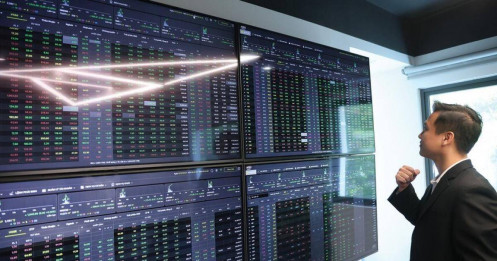 Liệu đã bắt được đáy chứng khoán?